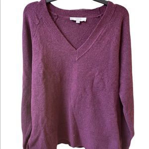 Loft V Neck Purple Sweater